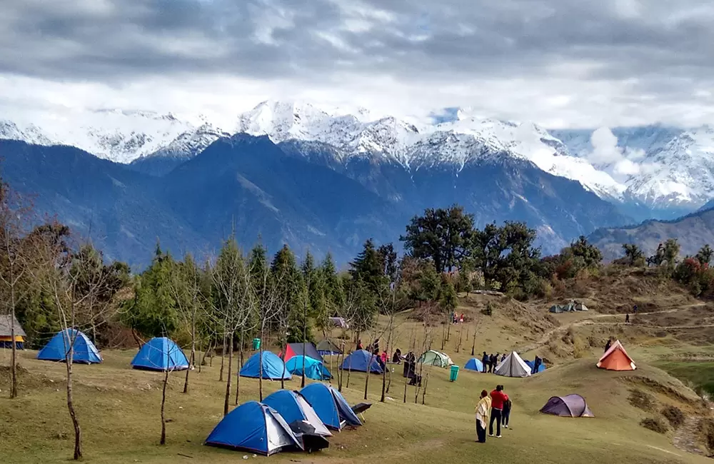 chopta auli tour package